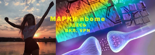 шишки Кодинск