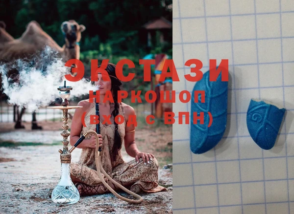 шишки Кодинск