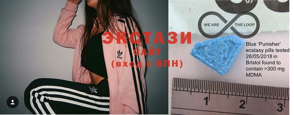 шишки Кодинск