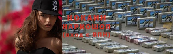 шишки Кодинск