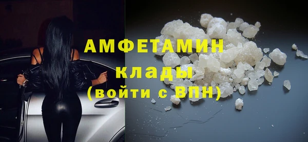 шишки Кодинск