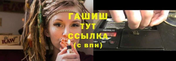 шишки Кодинск