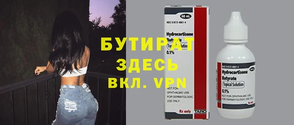 шишки Кодинск