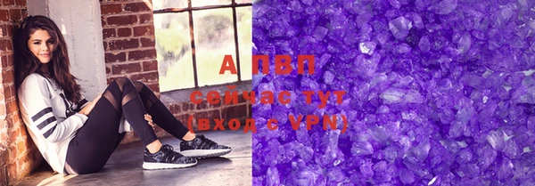 шишки Кодинск