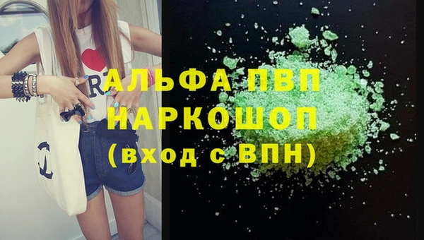 шишки Кодинск