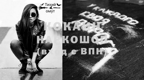 шишки Кодинск