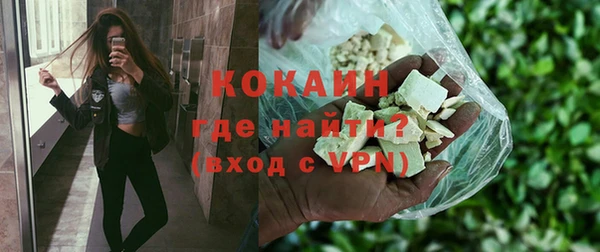 шишки Кодинск