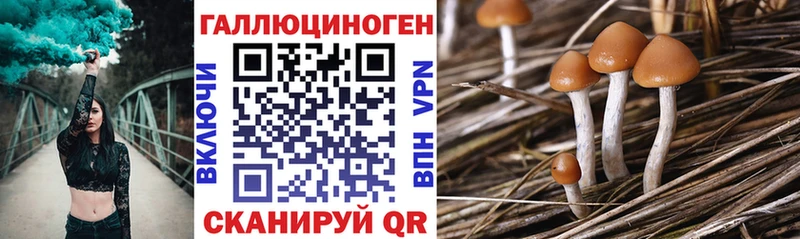 Купить закладки  Карачаевск  Галлюциногенные грибы MAGIC MUSHROOMS 