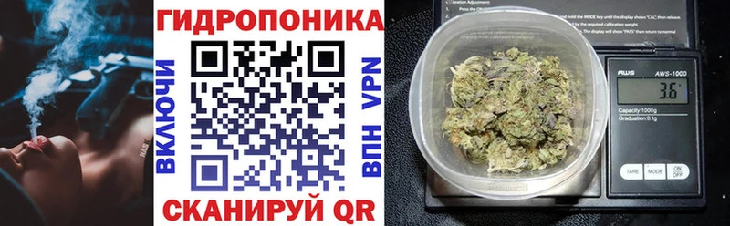 Купить закладки  Карачаевск  Бошки Шишки семена 